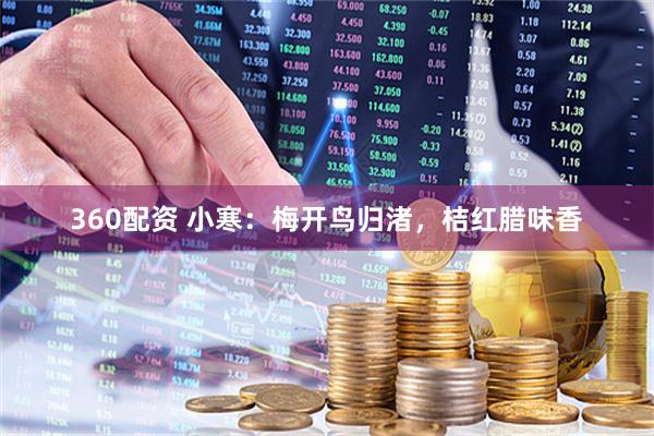 360配资 小寒：梅开鸟归渚，桔红腊味香