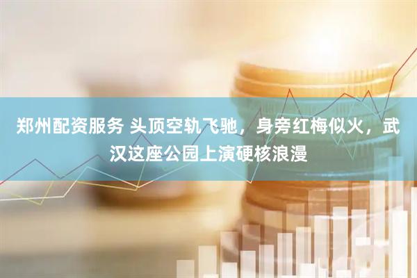 郑州配资服务 头顶空轨飞驰，身旁红梅似火，武汉这座公园上演硬核浪漫