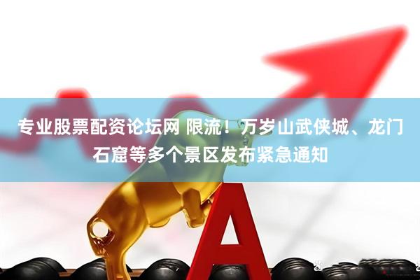 专业股票配资论坛网 限流！万岁山武侠城、龙门石窟等多个景区发布紧急通知